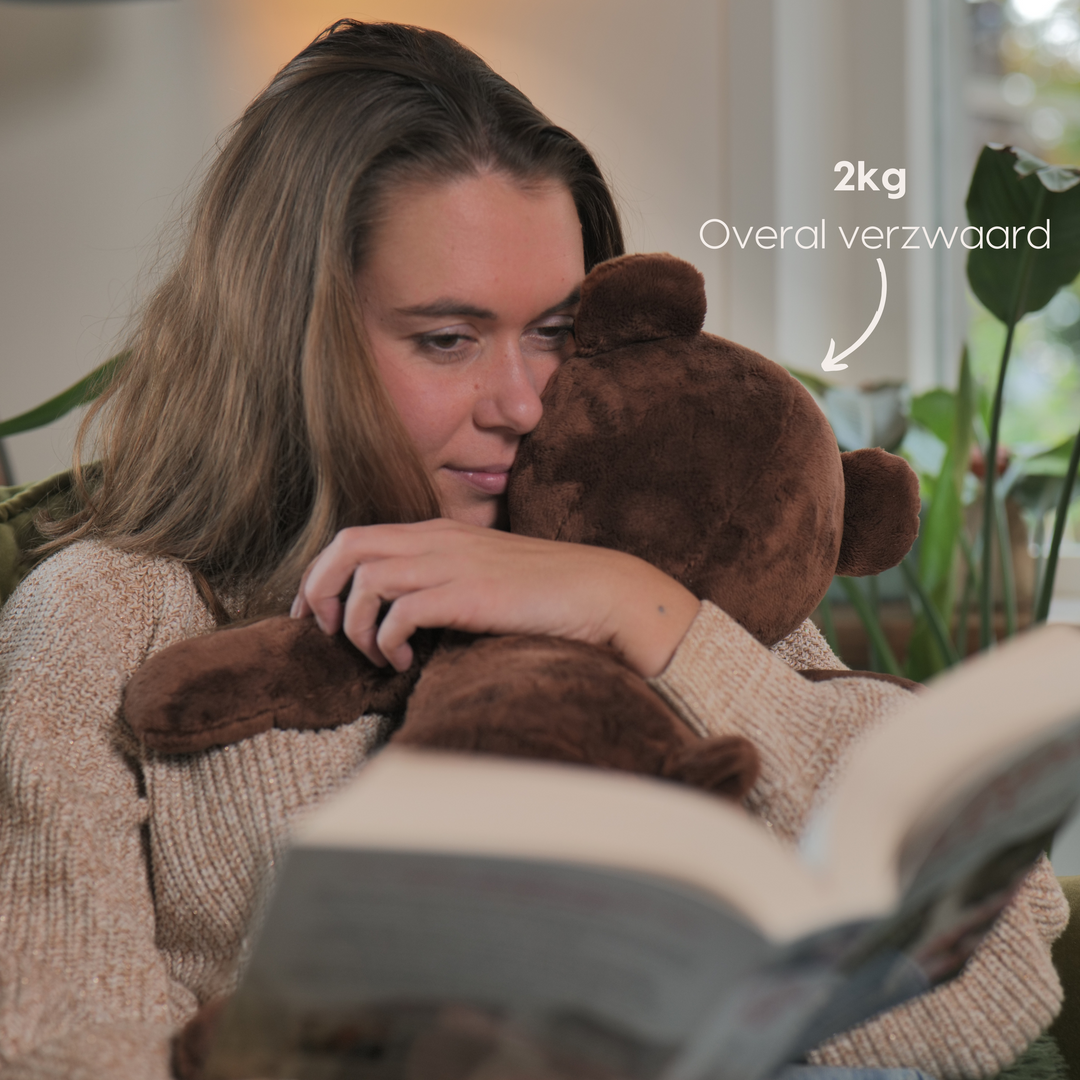 Compagnon d'infortune Ours 2 kg