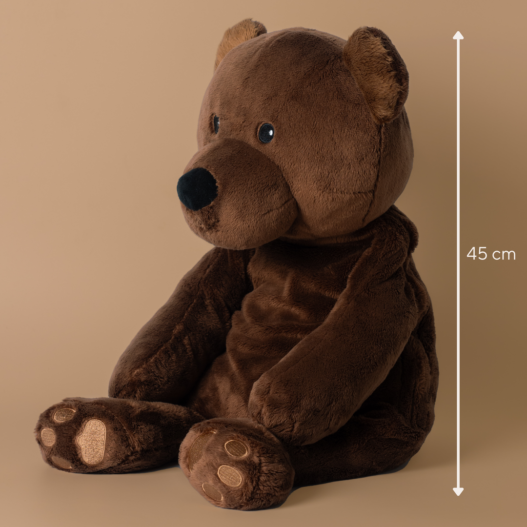 Compagnon d'infortune Ours 2 kg